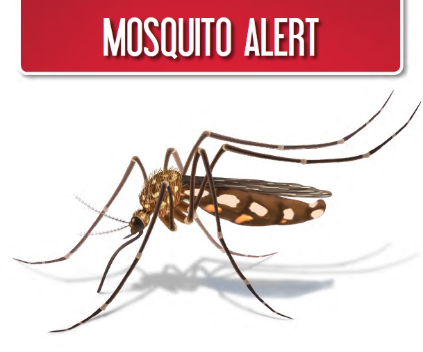 mosquito-alert