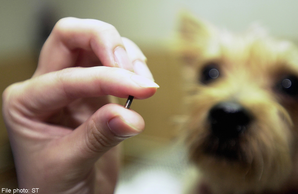 what does it mean if your dog is microchipped