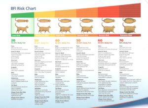 bfi-risk-chart-cat-001