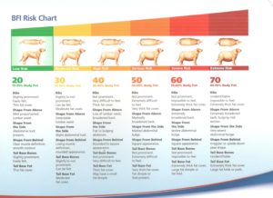 bfi-risk-chart-dog-001